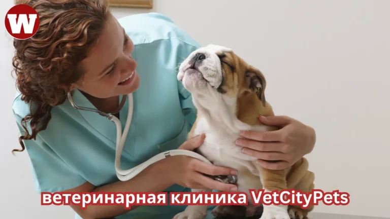 ветеринарная клиника VetCityPets